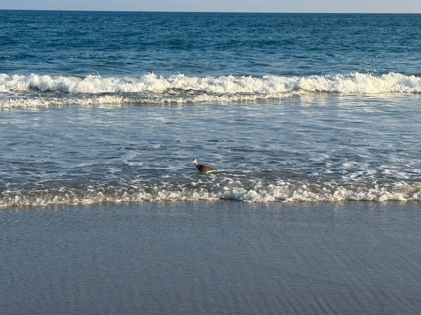 OBX2026-53.JPG