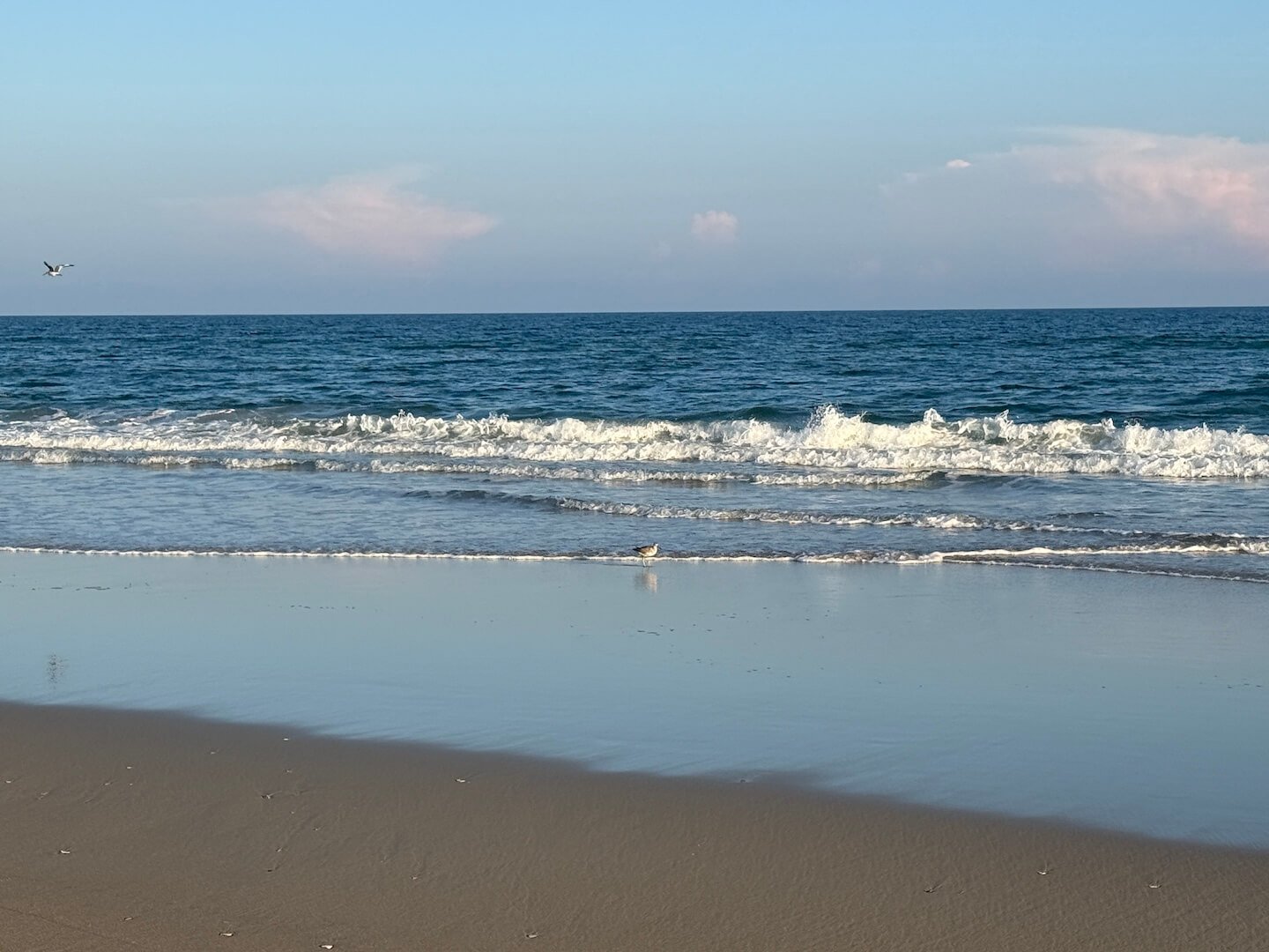 OBX2026-54.JPG
