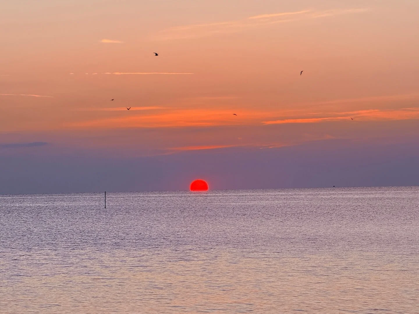 OBX2026-59.JPG