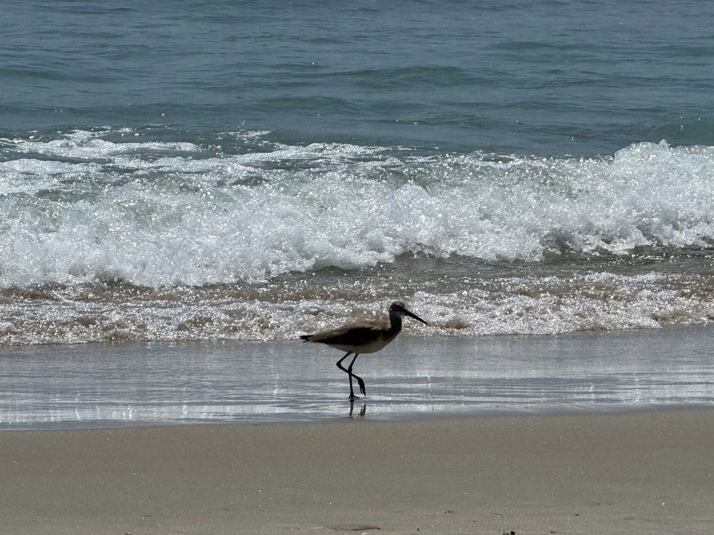 OBX2026-62.JPG