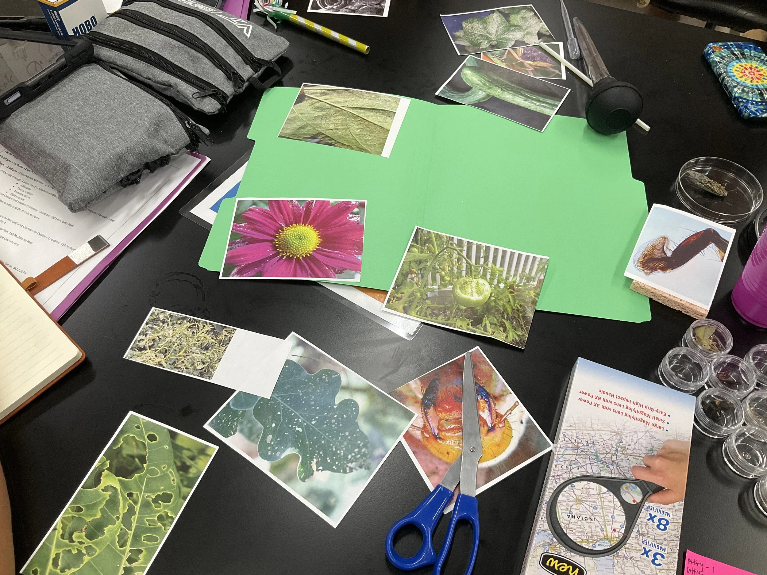 Picture 5_ Entomology Lesson.JPG