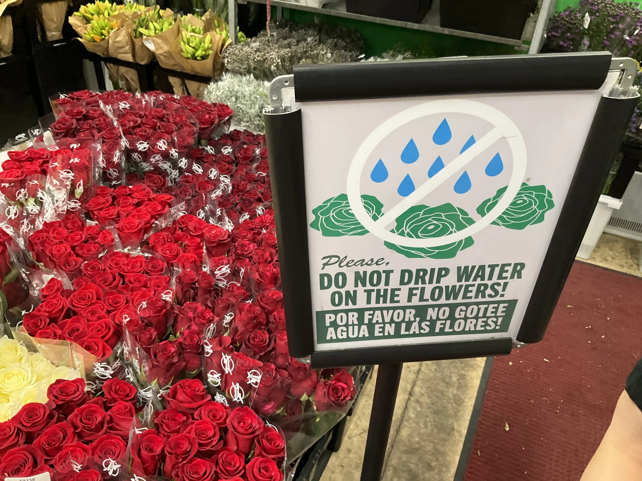Picture 3_ Roses_Jet Fresh with Sign and two languages.JPG