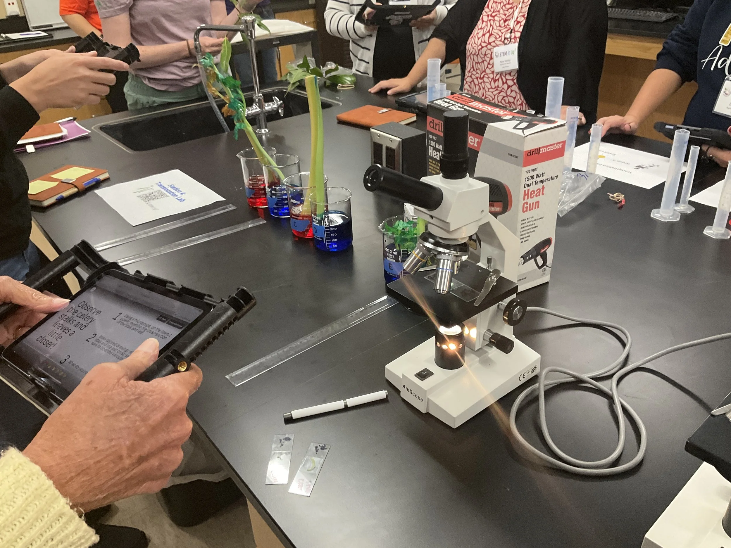 Picture 2_ Microscope and Celery.JPG
