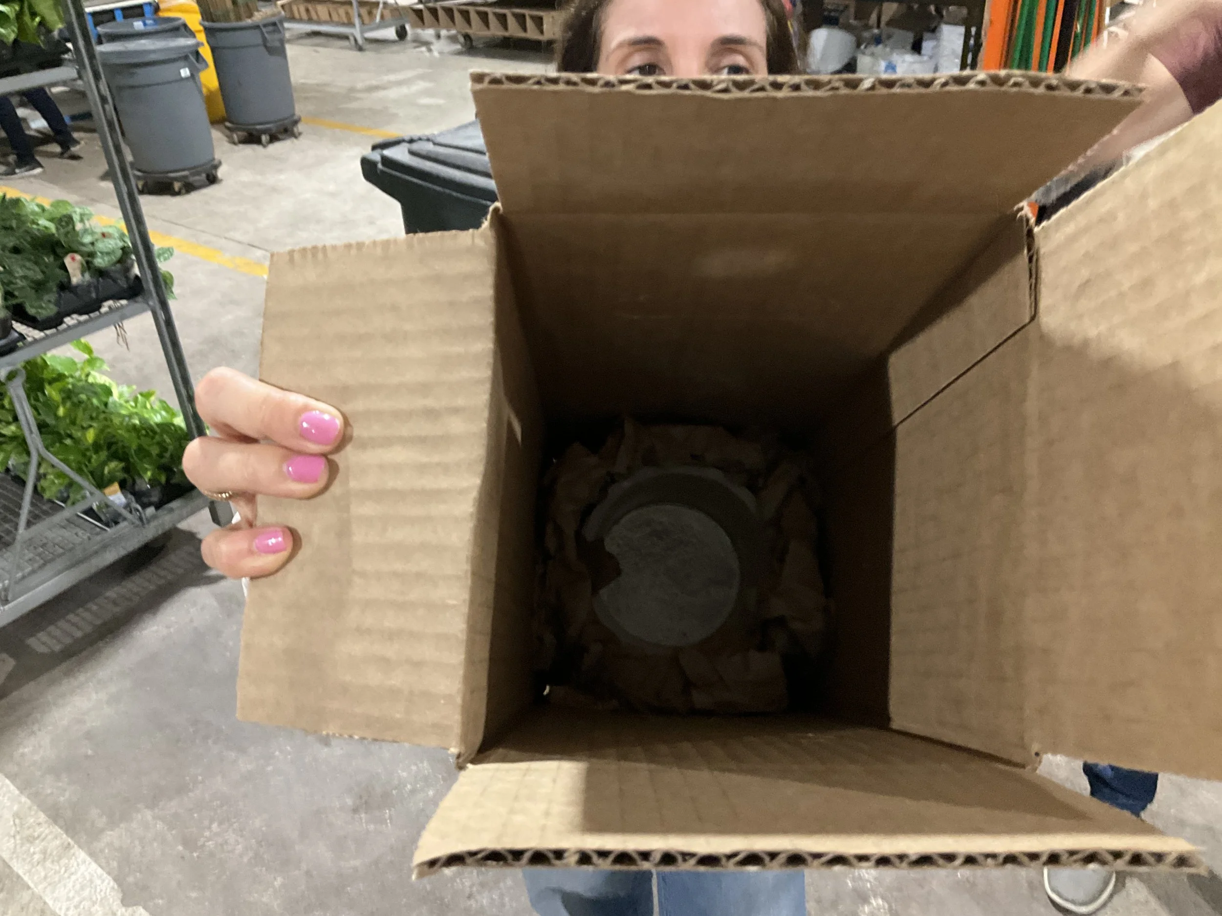 Costa Farms-Packaging.JPG