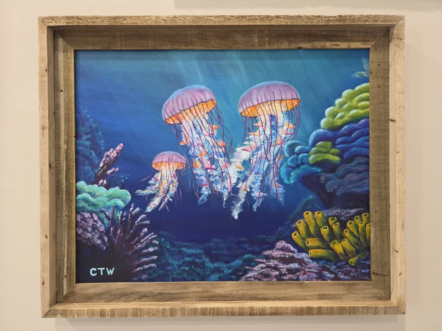 Jellies on the Reef