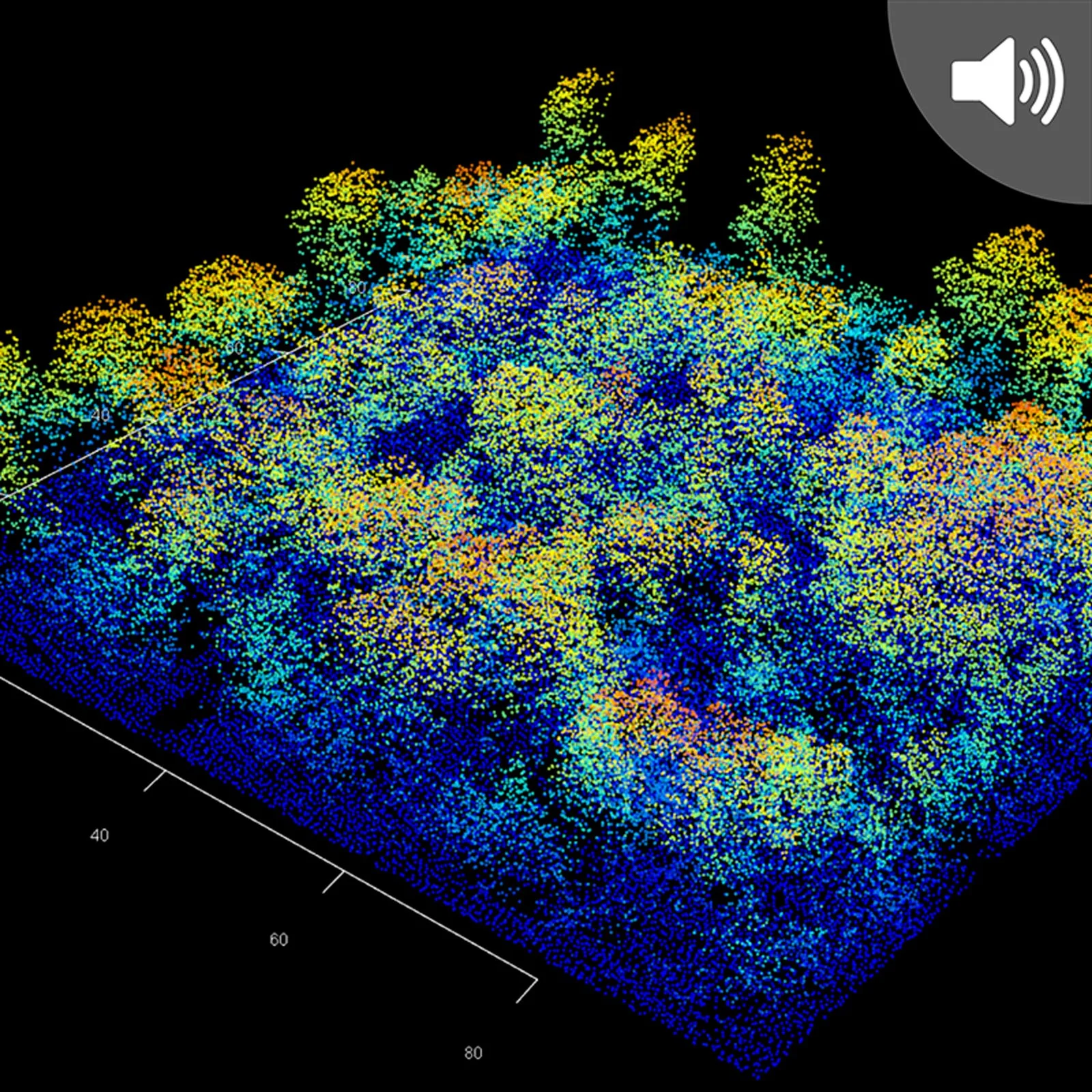 Seeing the Forest from Above