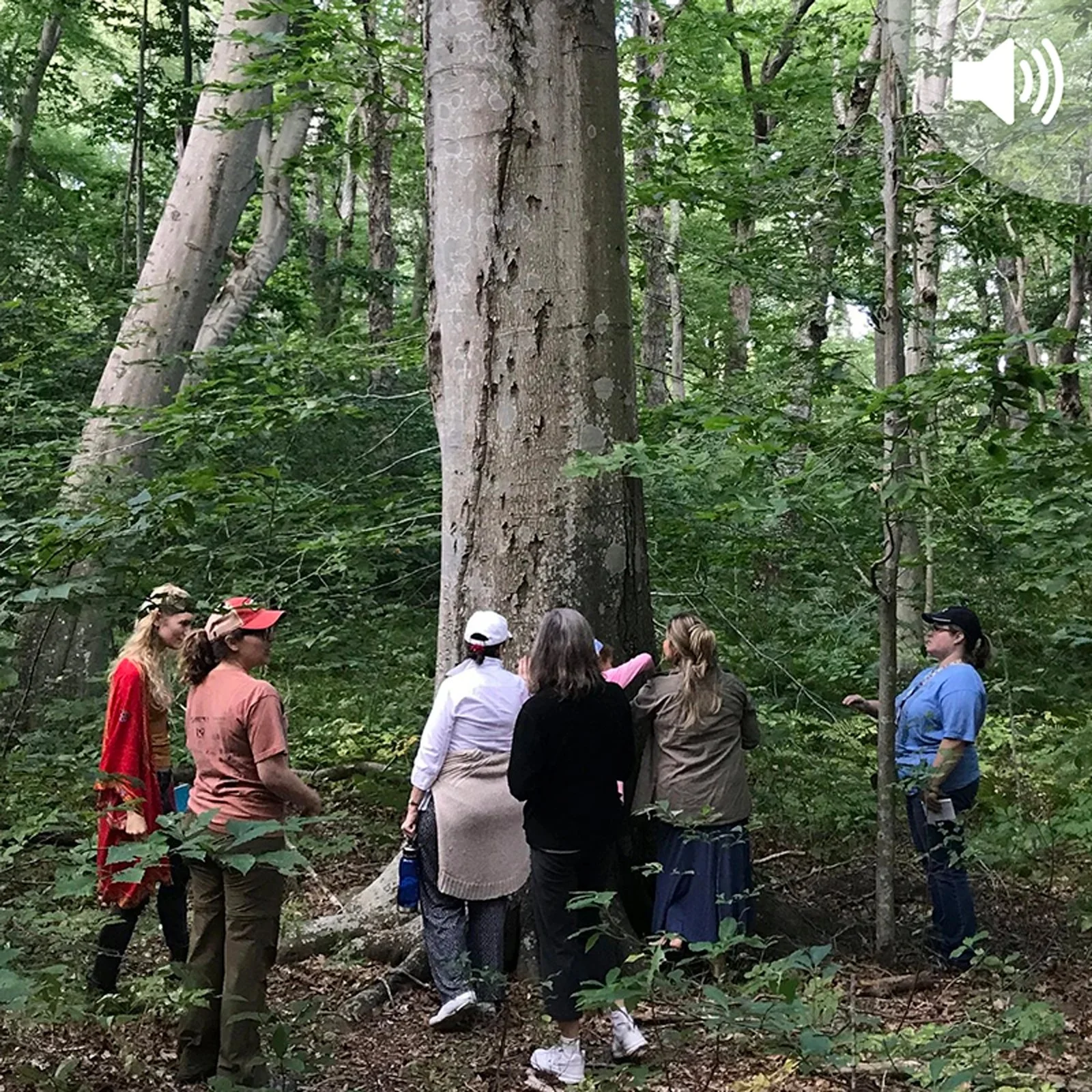 New England Policy Chronicle