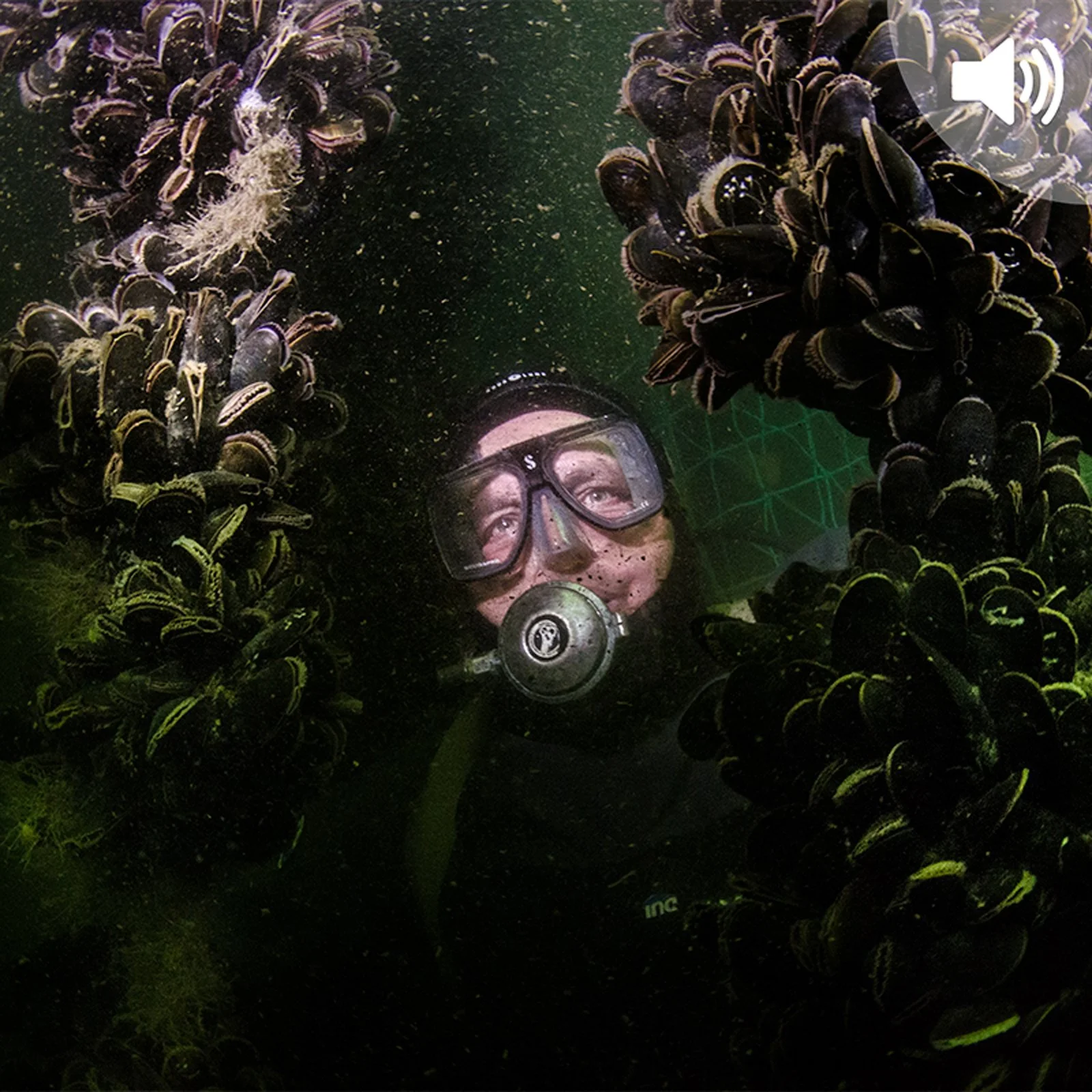 Food Farming in the Sea