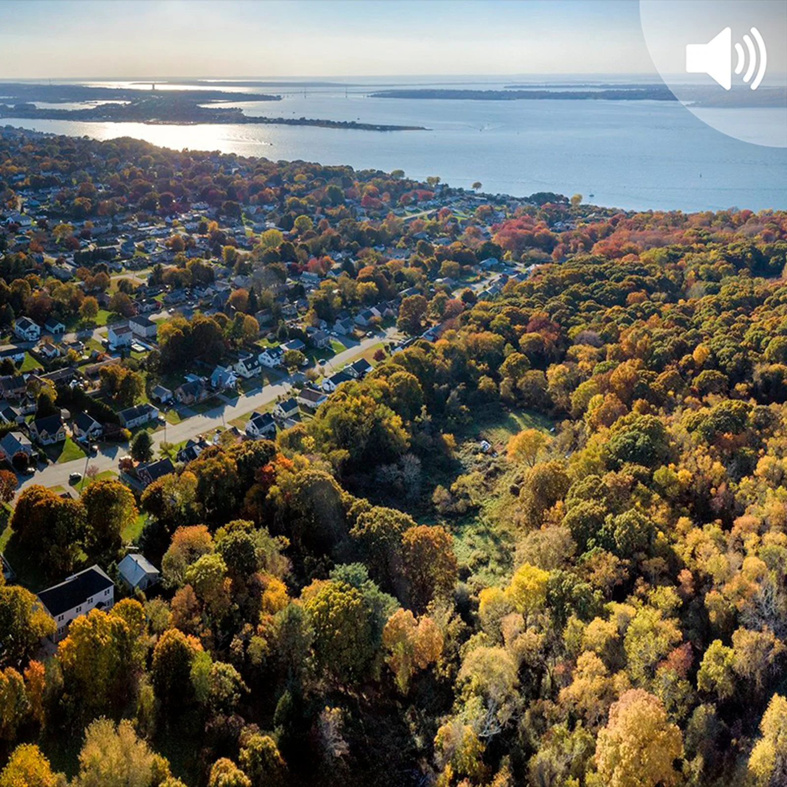 New England Policy Chronicle