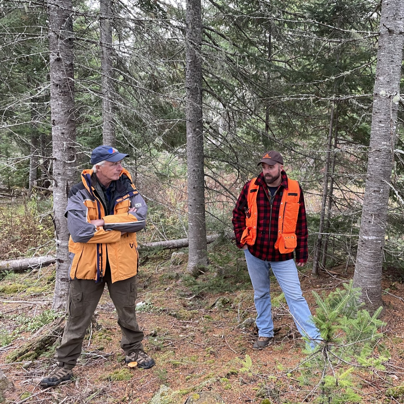 Wildlands and Exemplary Forestry Together