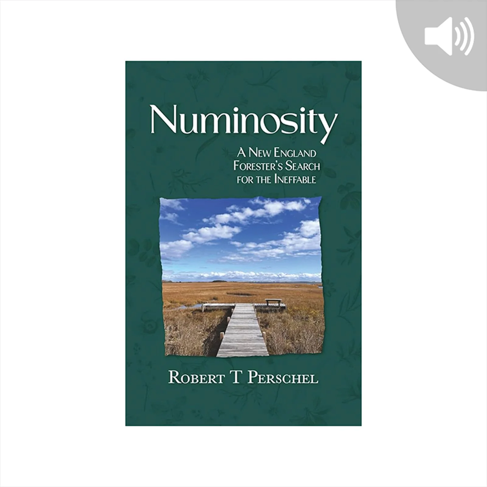 Numinosity: A New England Forester’s Search for the Ineffable by Robert T. Perschel
