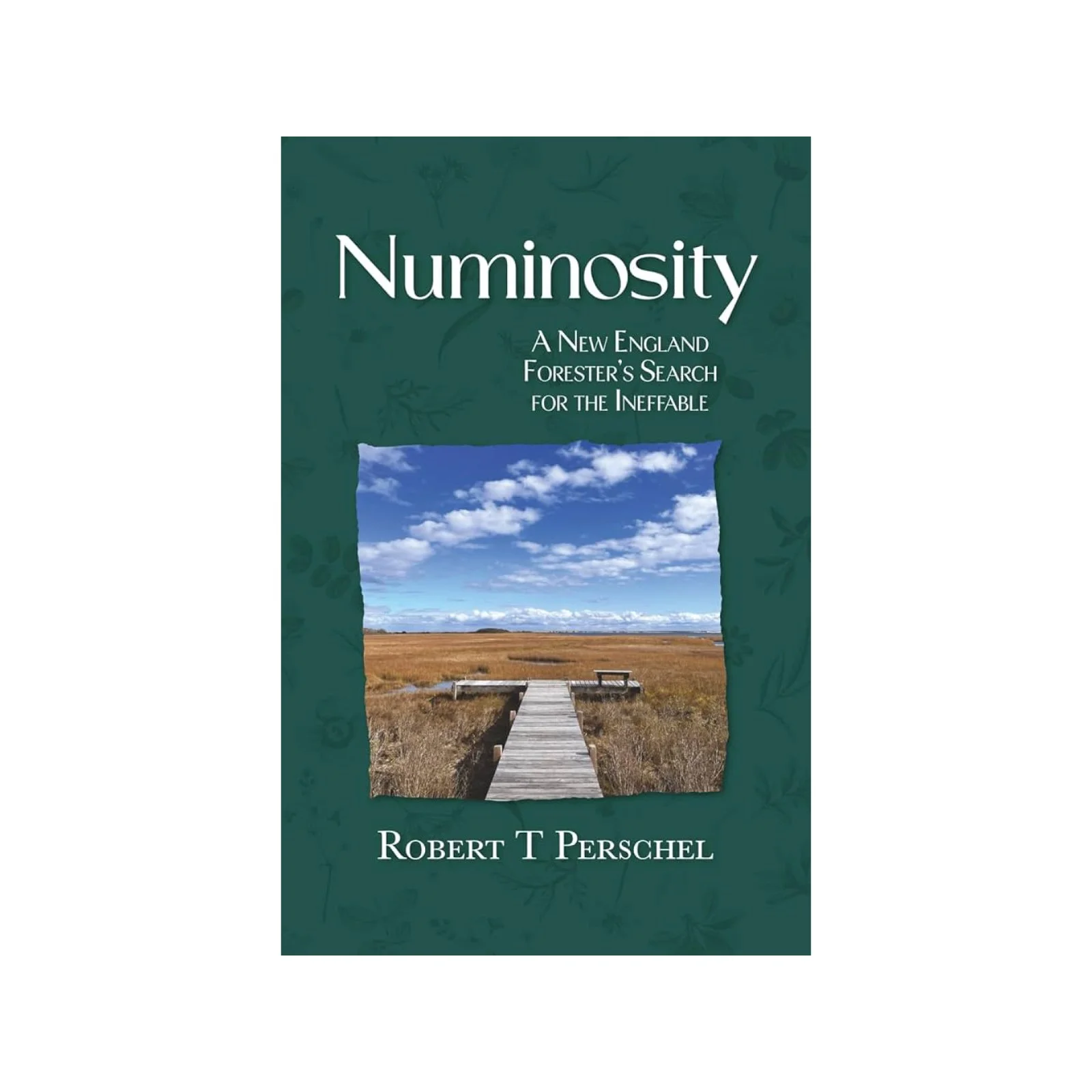 Numinosity: A New England Forester’s Search for the Ineffable by Robert T. Perschel