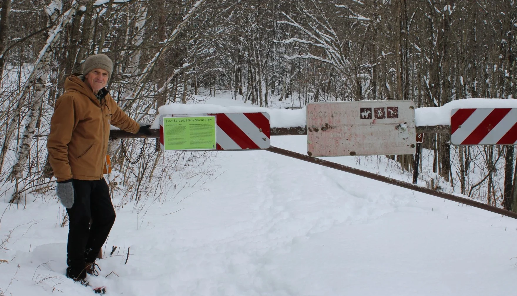 How Vermont Got So Many Town Forests - Vermont Public.jpg