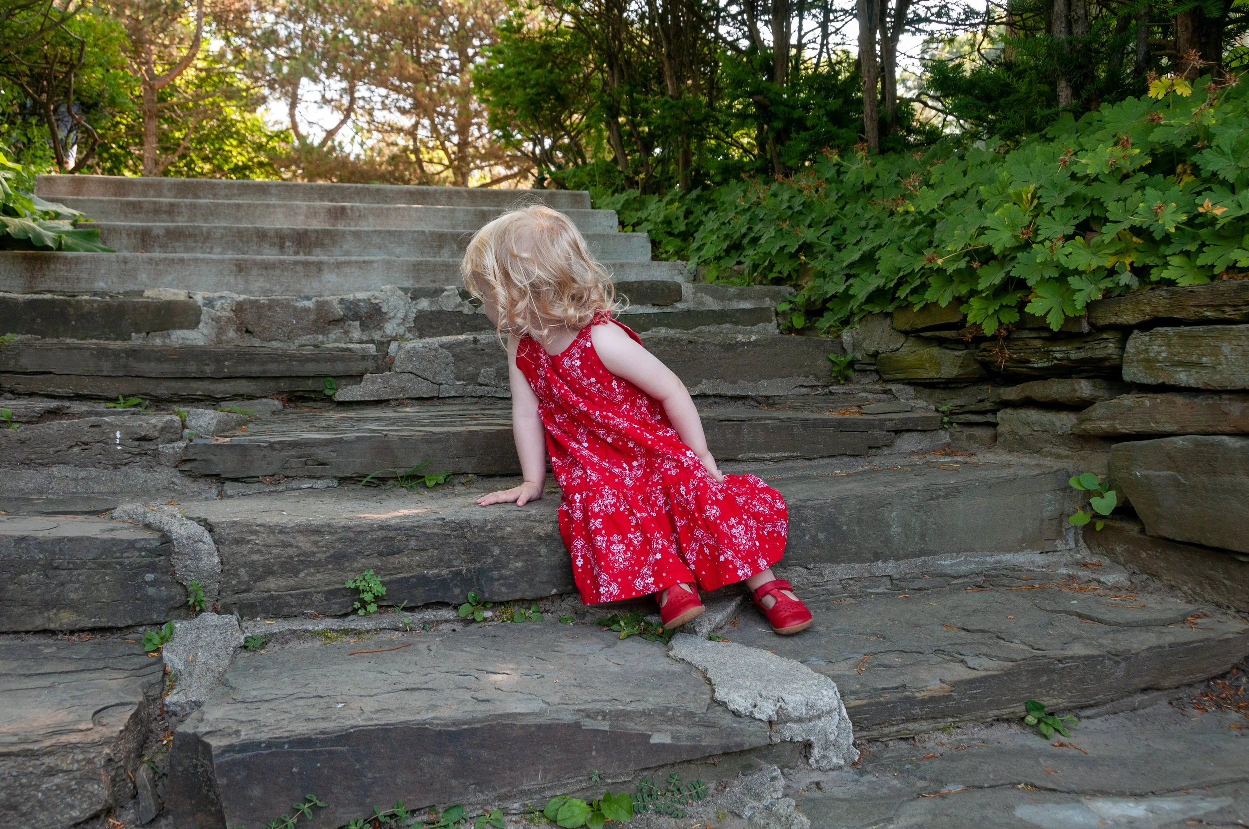 lucy webiste banner.jpg