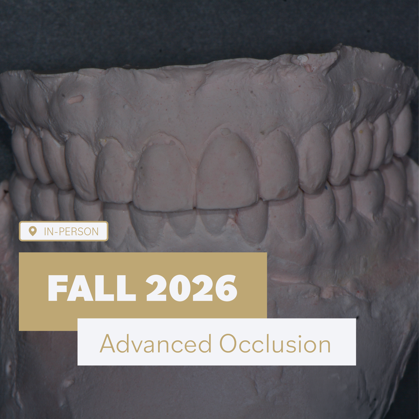 Advanced Occlusion Workshop