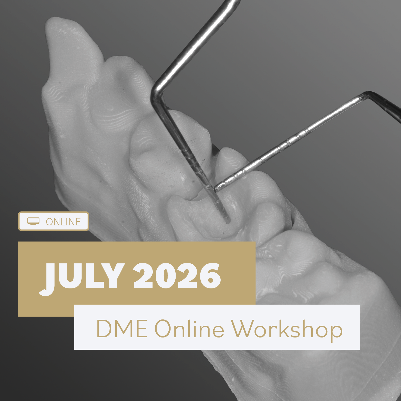 Deep Margin Elevation: Online Practical Workshop