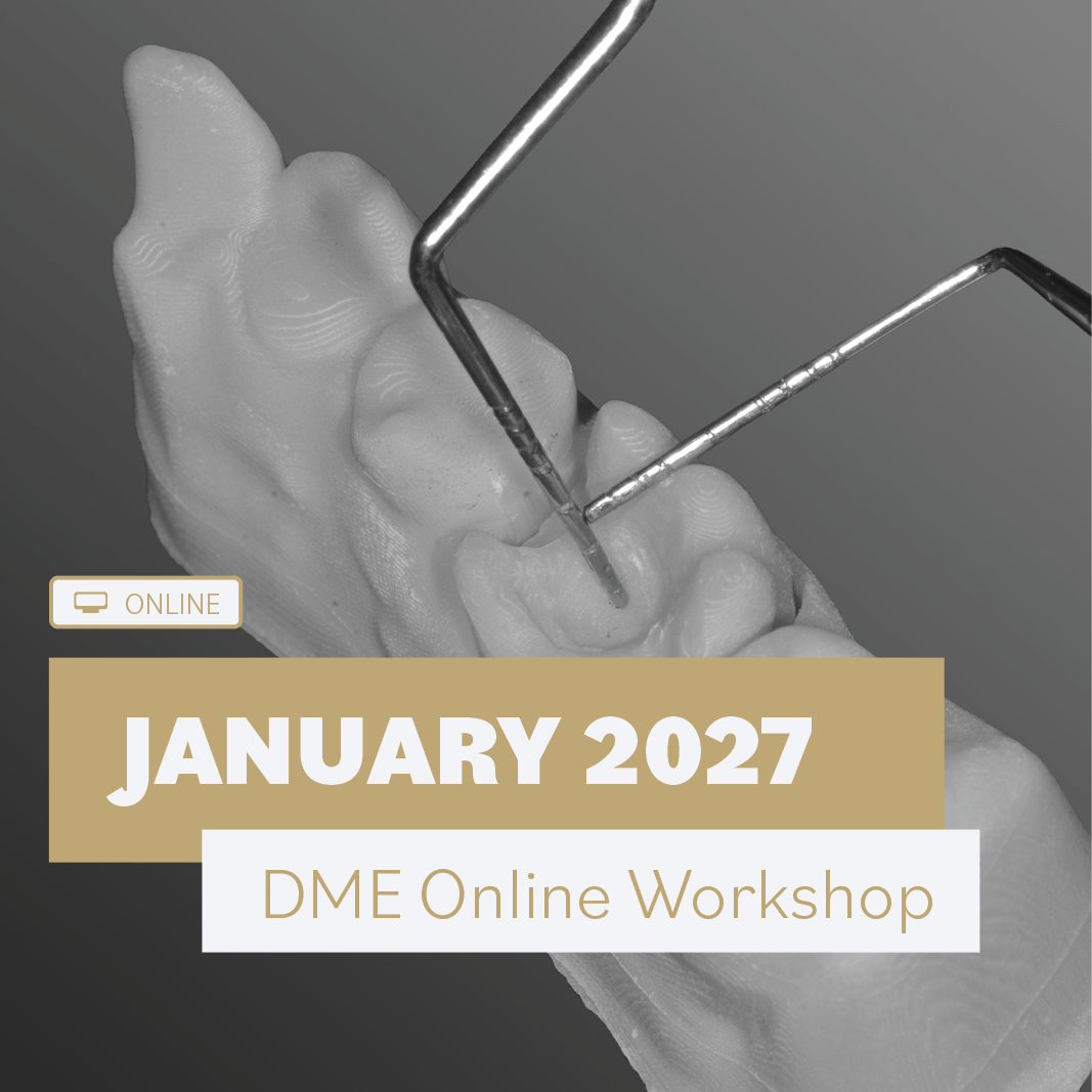 Deep Margin Elevation: Online Practical Workshop