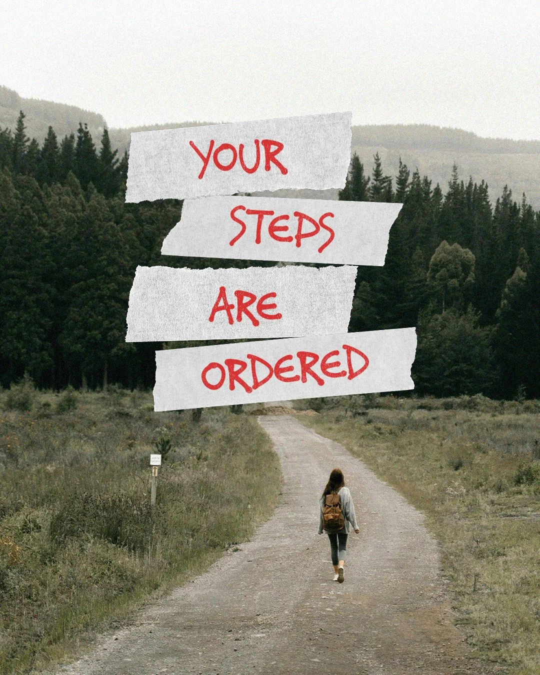 Your Steps Are Ordered