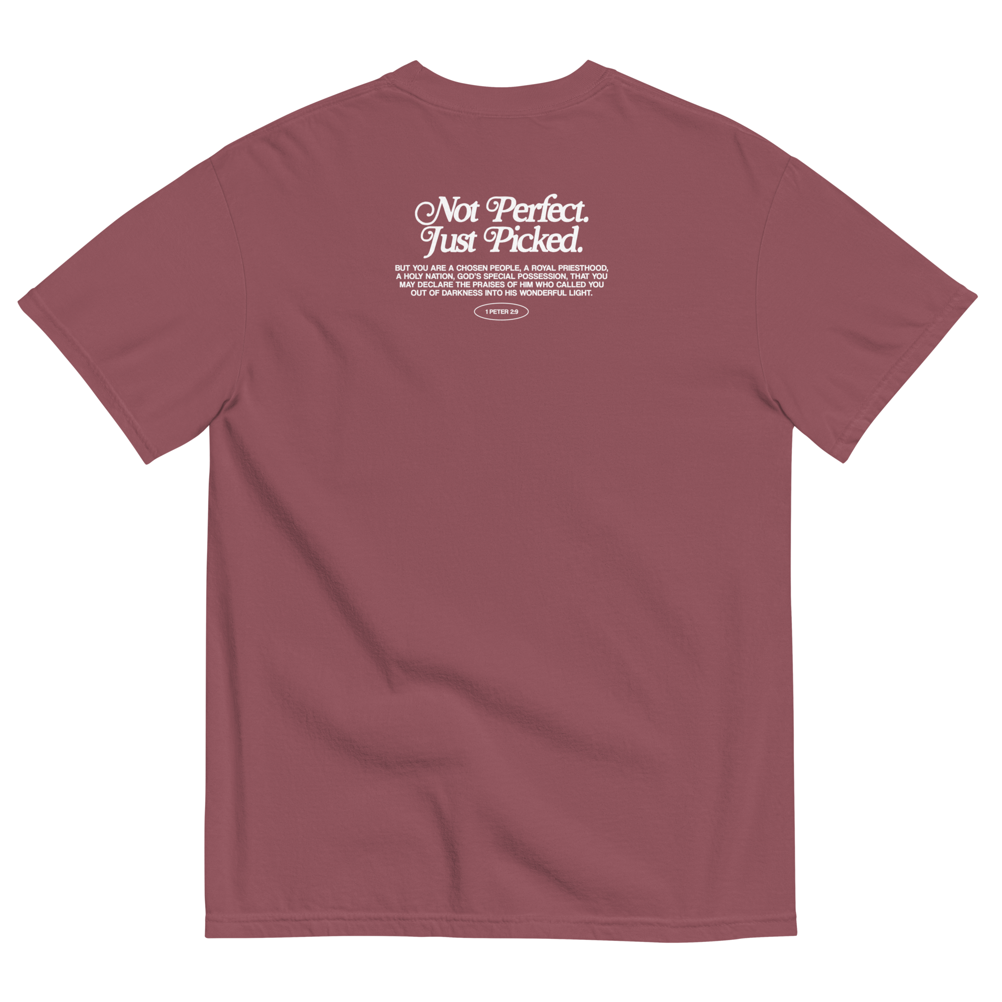 unisex-garment-dyed-heavyweight-t-shirt-brick-back-67f4496f79ff5.png