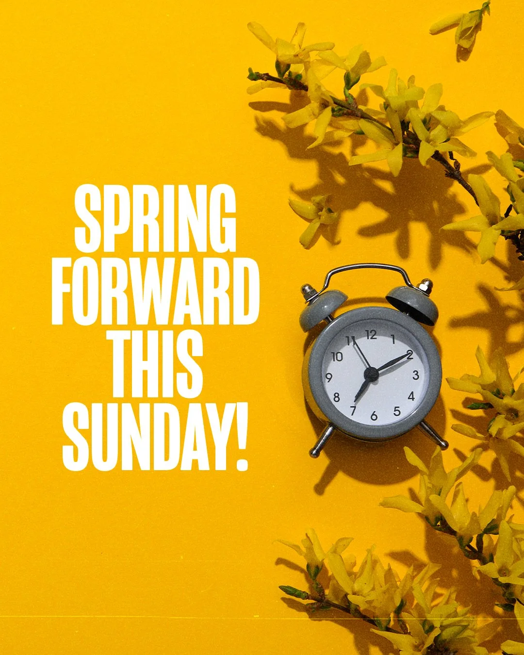 Spring Forward This Sunday