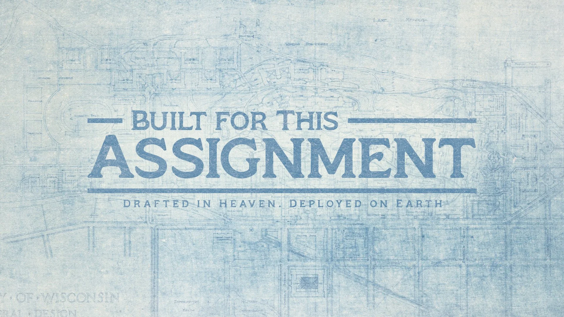 Build For This Assignment