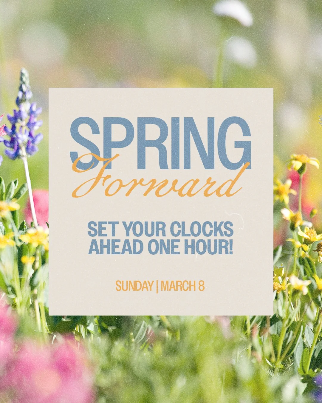 Spring Forward