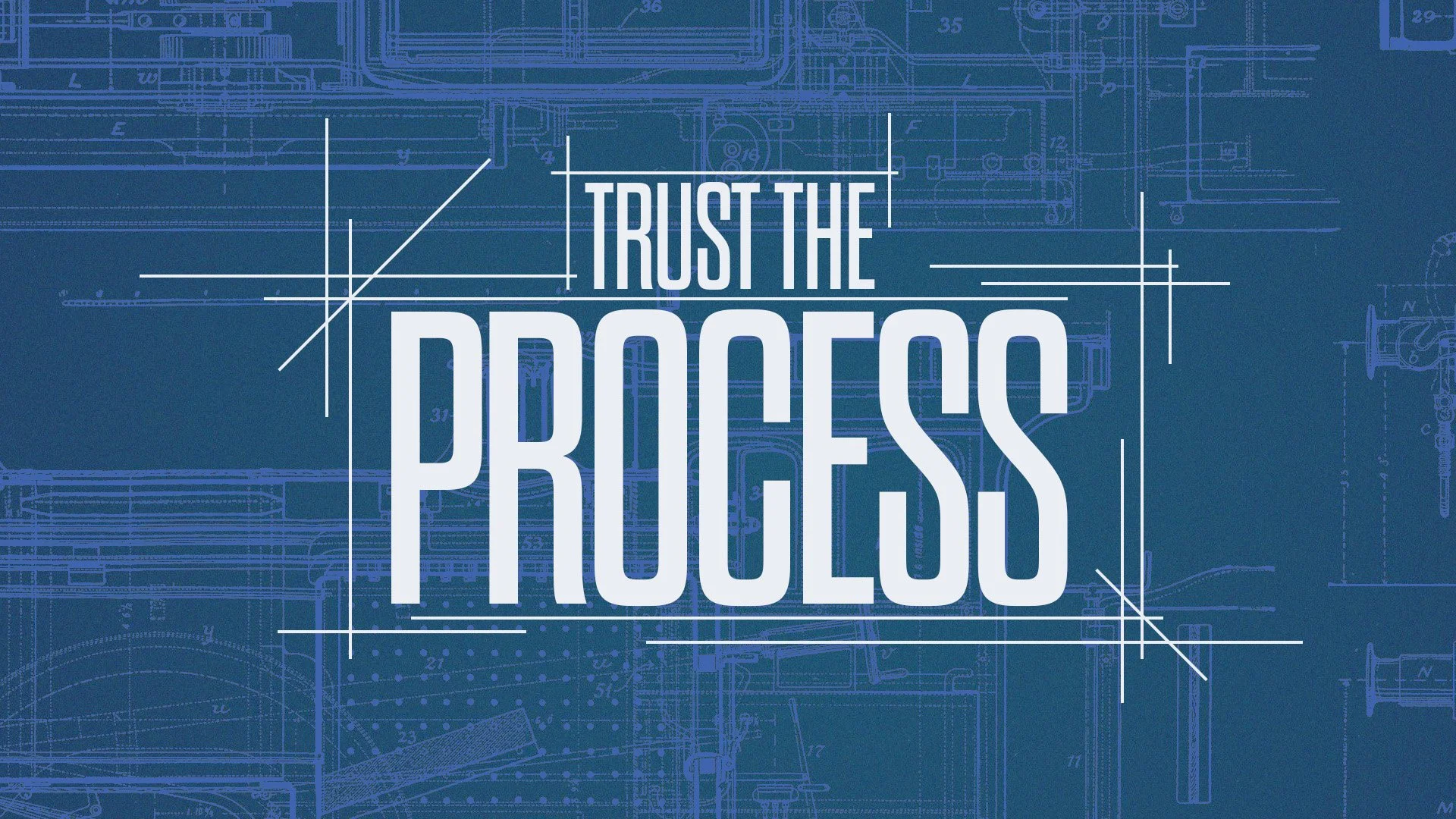 Trust The Process