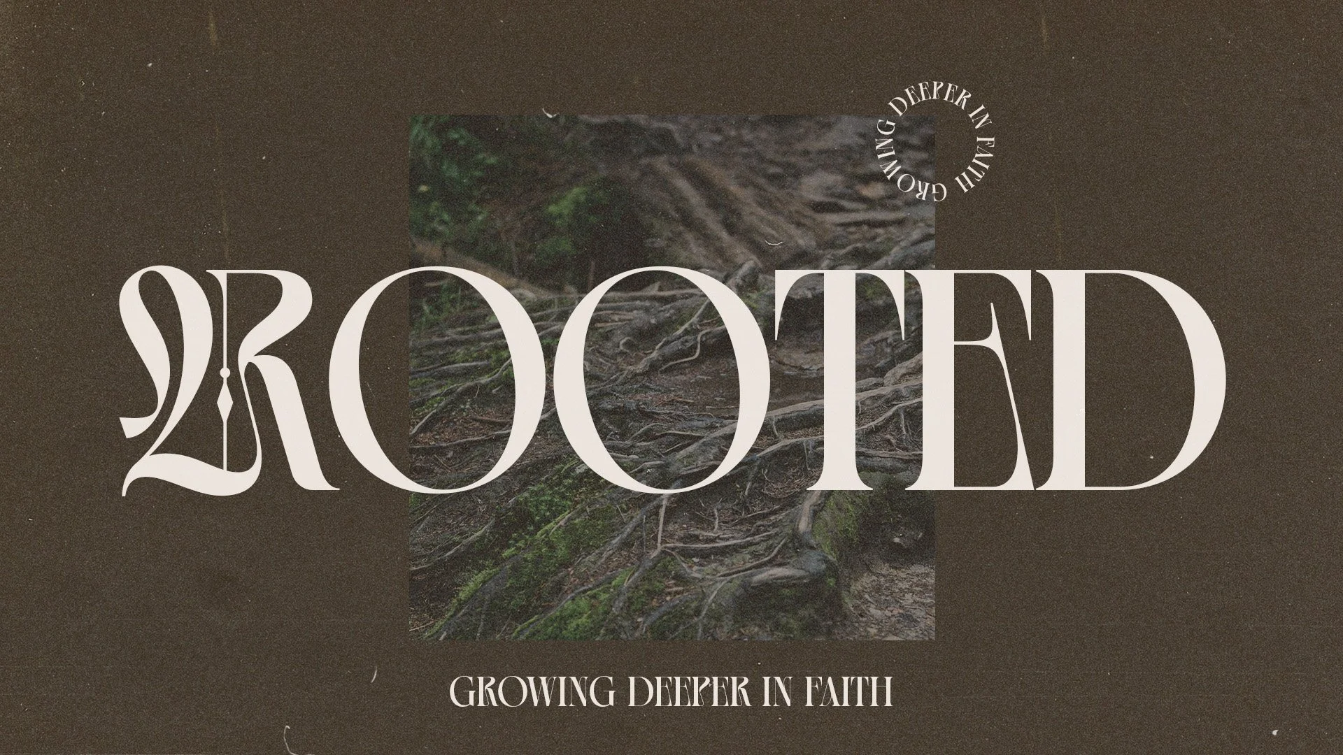 Rooted (Growing Deeper In Faith)