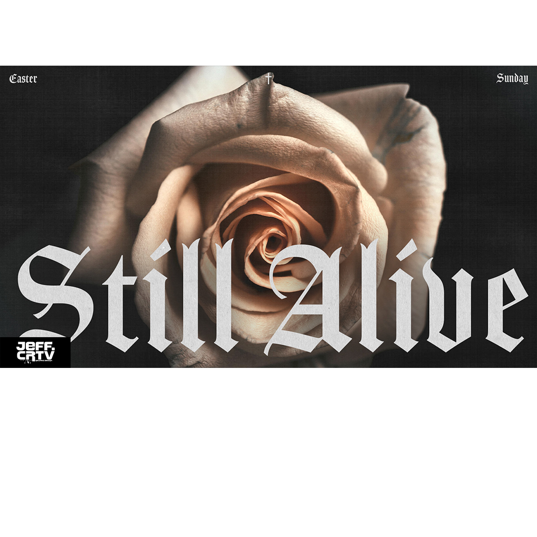 WEBSITE SOCIAL PLACEMENT TEMPLATE 1.png