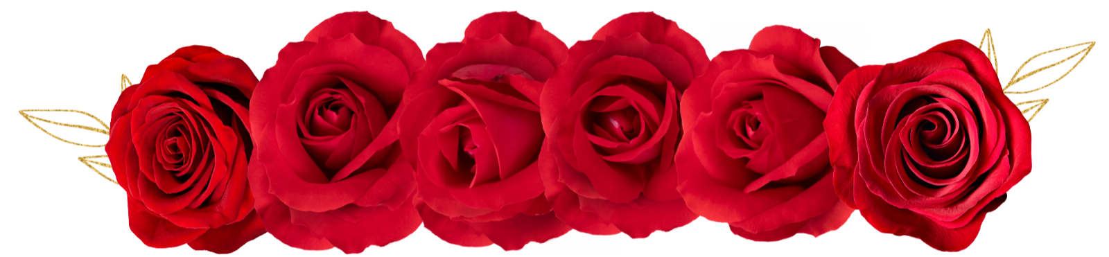 Gala Roses.png