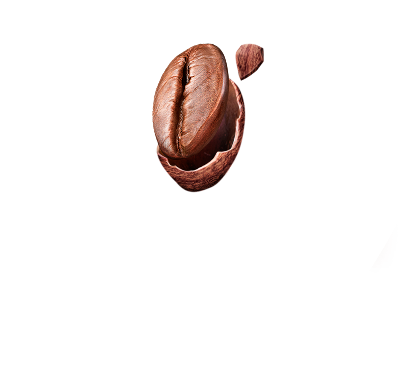 cafe-1