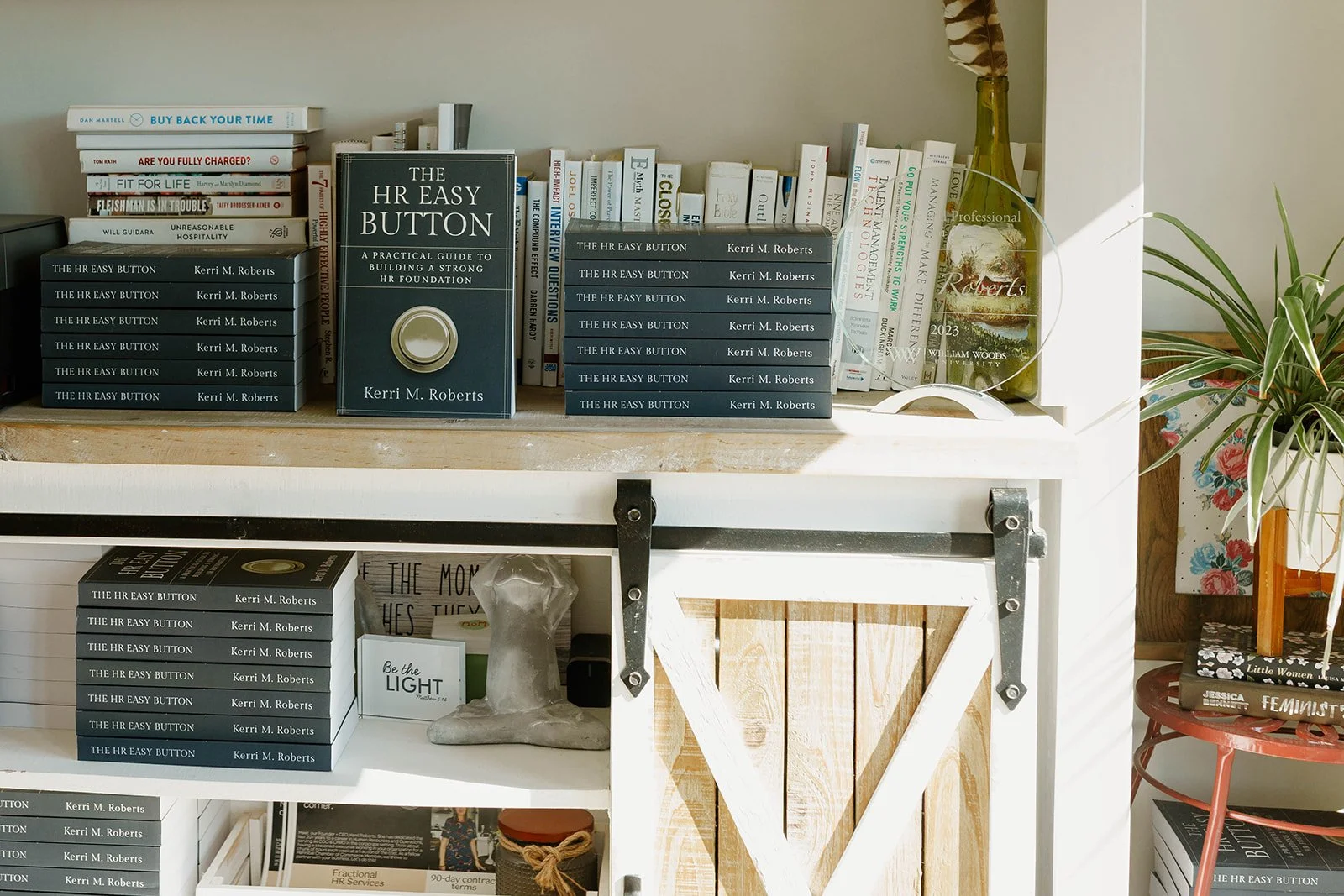 Books and a glass award on a white shelf, a green plant on the right, and a small red table with more books on the far right.