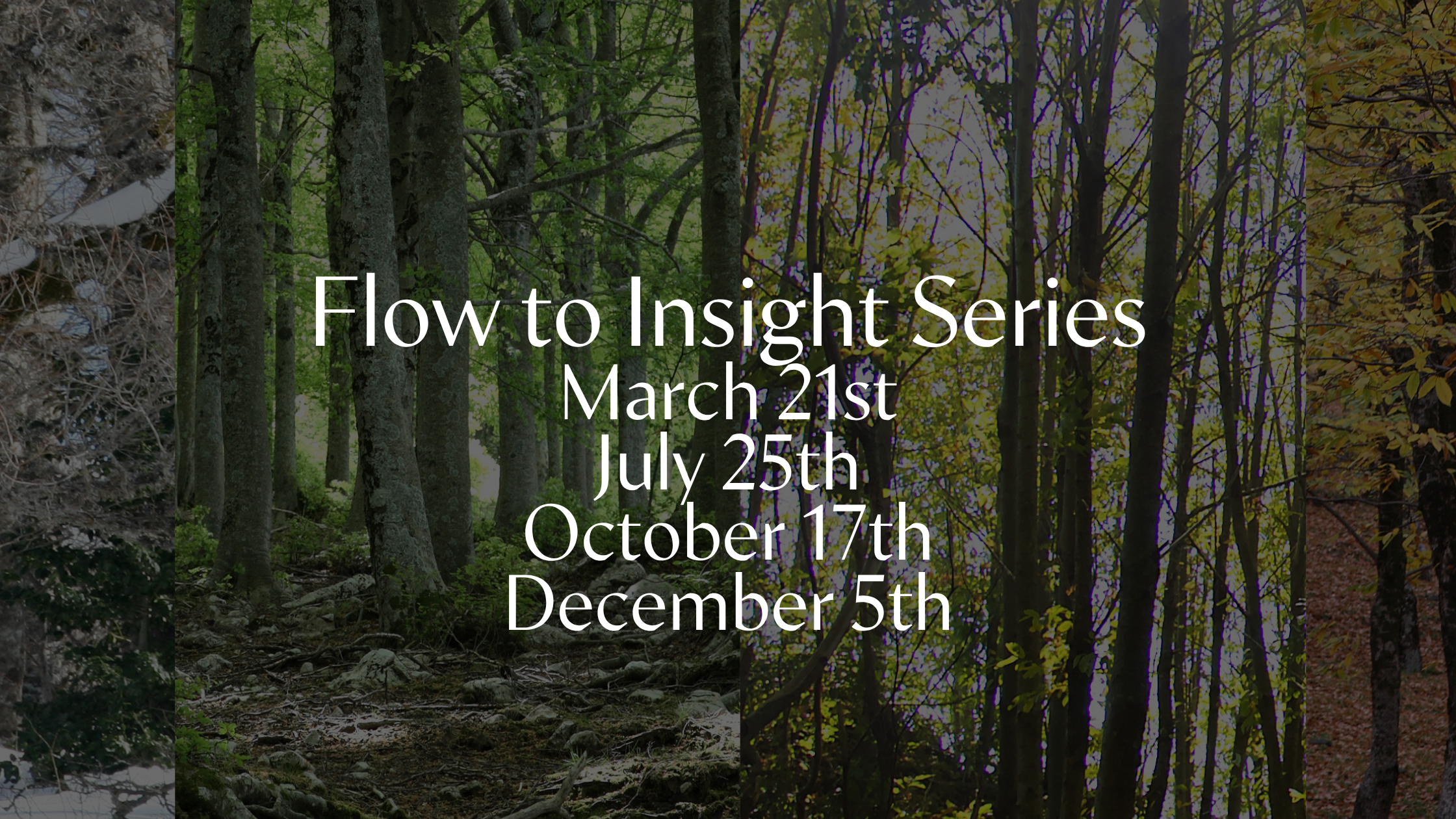 Flow to Insight Series