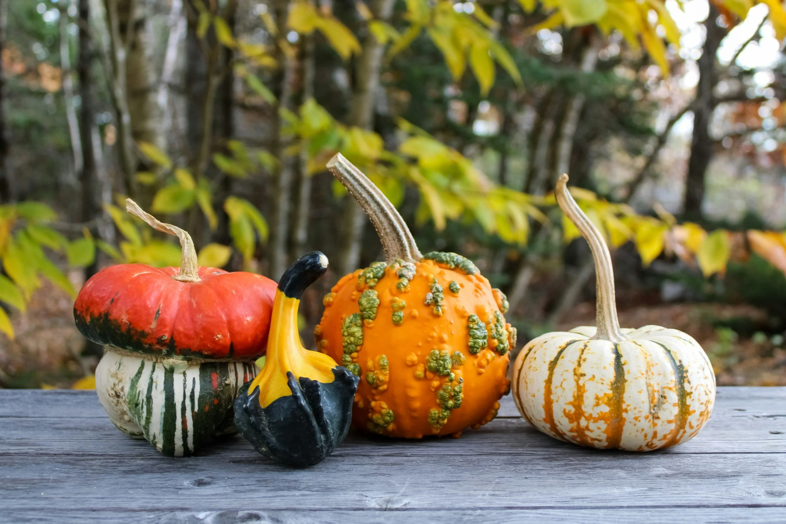Decoupage Pumpkin Workshop