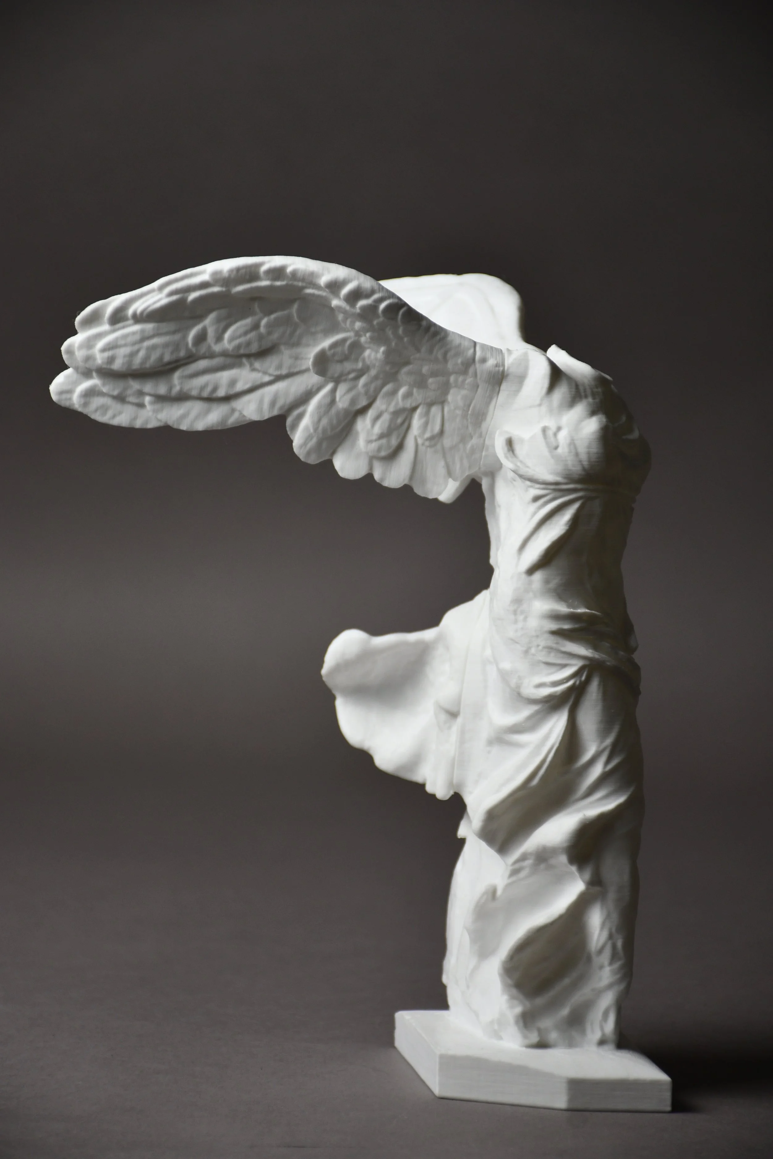 I printed the wings separately and reattached them using sockets and pins.