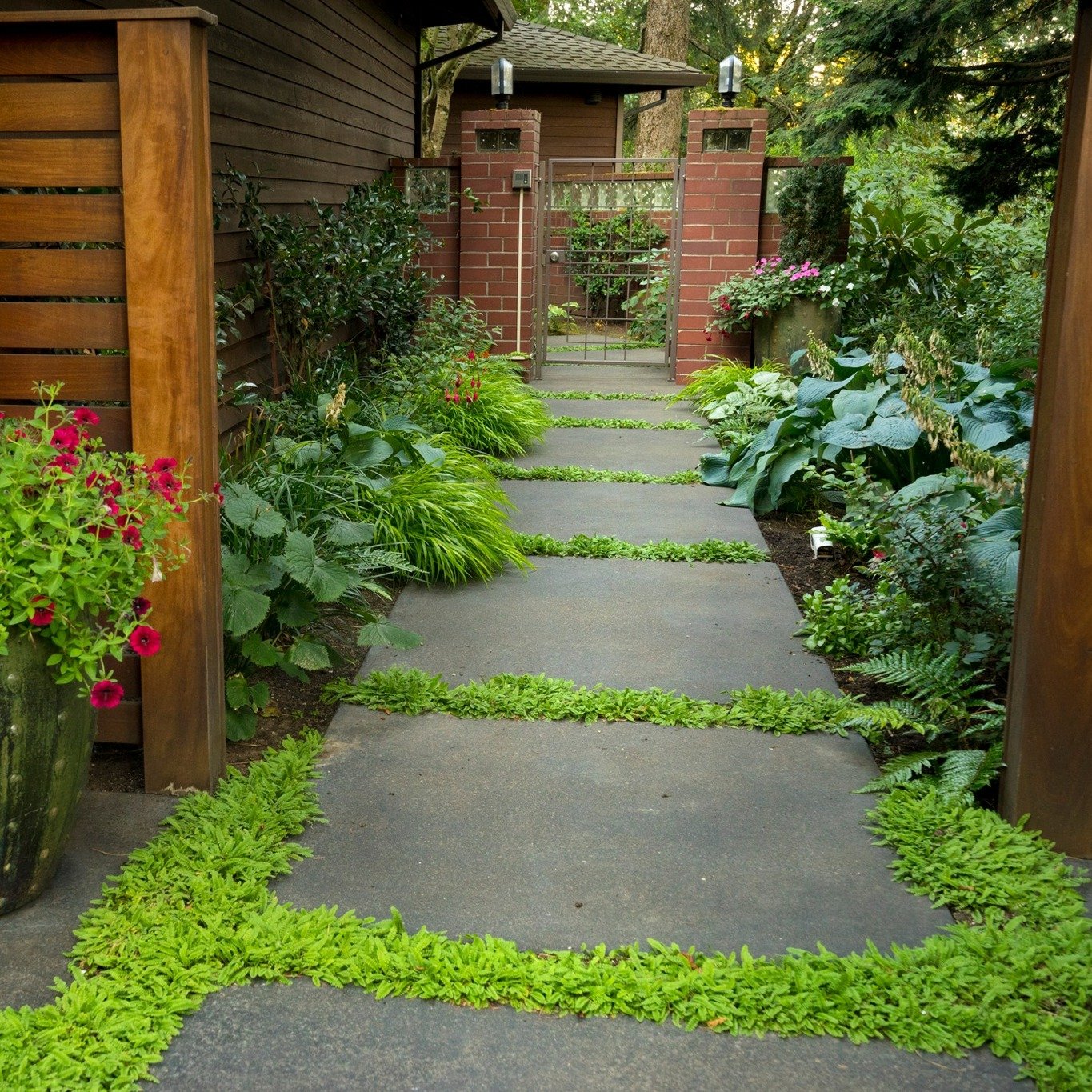 A lush, green pathway with complimenting landscaping, paved, designed, and installation by Big Sky Landscaping in West Linn, OR.