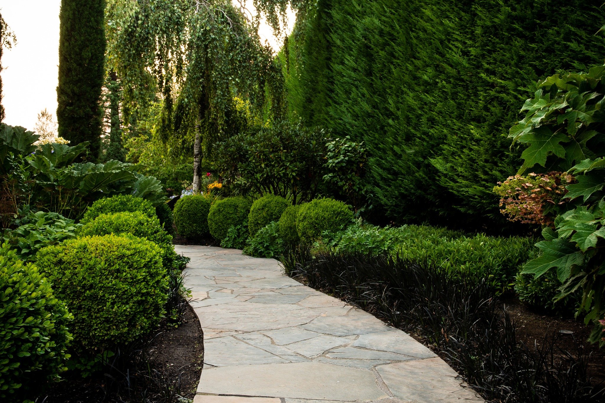 Lush boxwood shrubs line a winding flagstone garden path created by expert Tigard landscapers.