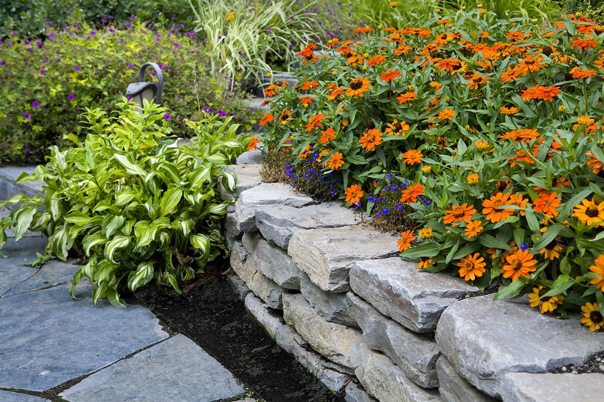 Plants, freshly planted after a successful landscape design project in West Linn, OR.