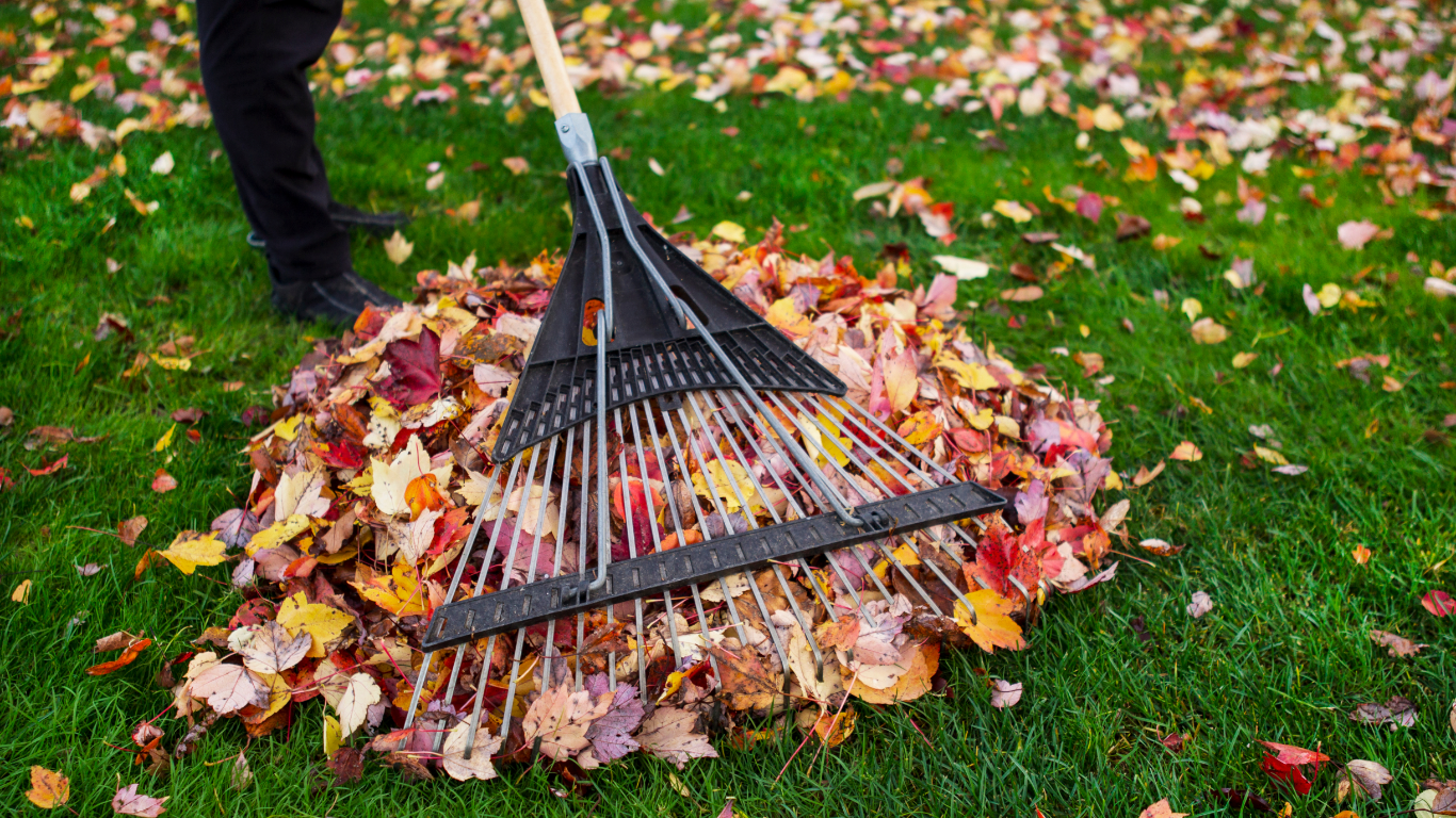 washougal seasonal cleanup services