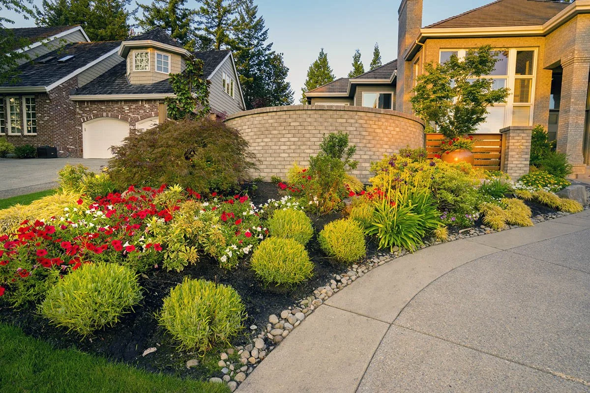 Vibrant red petunias and yellow ornamental shrubs create a welcoming curb appeal for this estate designed by expert Wilsonville landscapers.