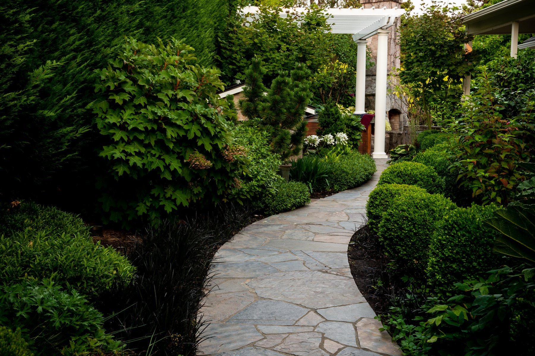 Lush pathway in the backyard of a Happy Valley landscaping client. 