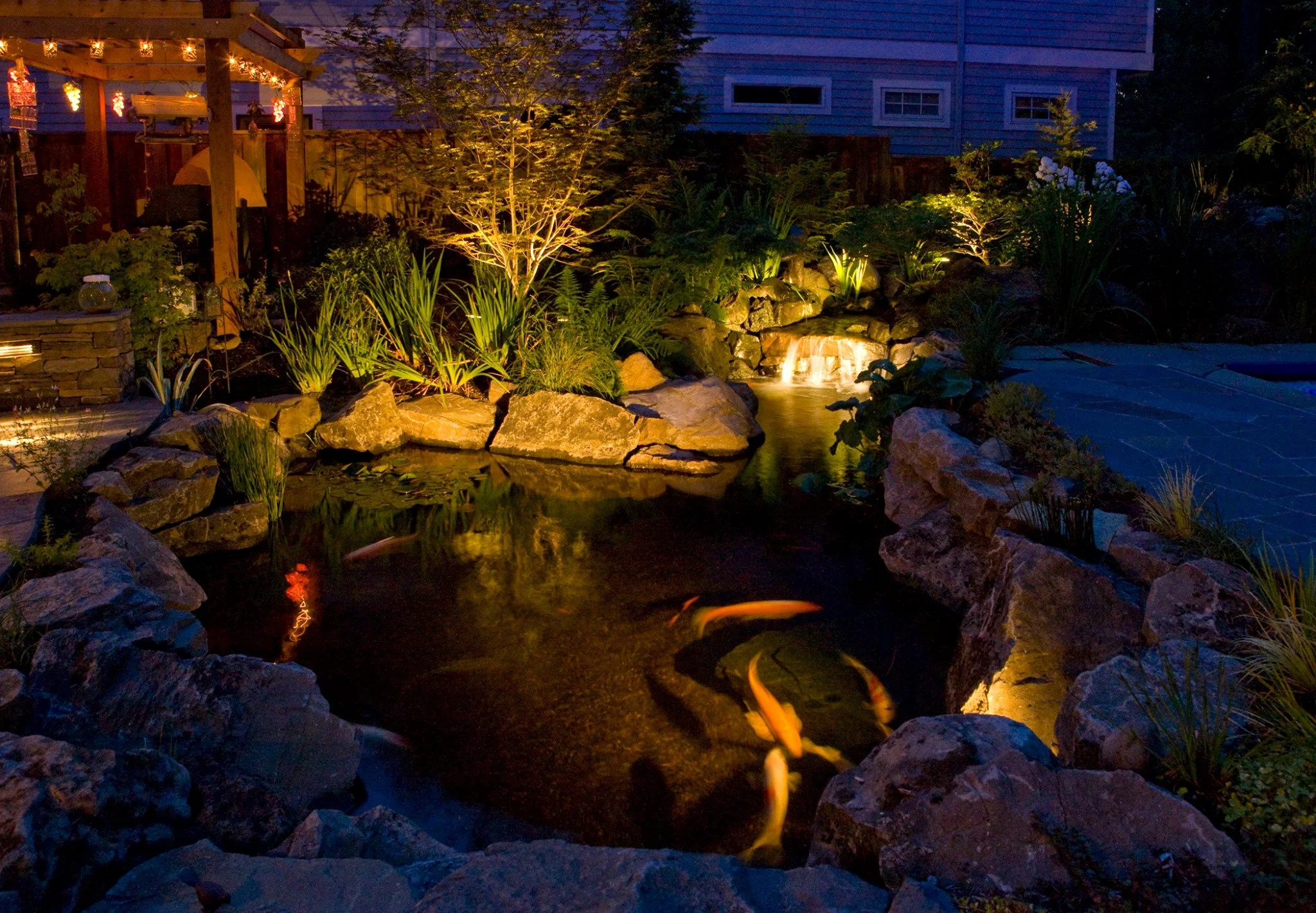 A serene koi pond in Wilsonville is beautifully illuminated at night, featuring a gentle waterfall and lush aquatic plants installed by a Wilsonville landscaping company.