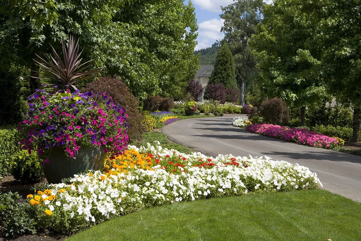 A grand driveway entrance in Wilsonville featuring large potted flower arrangements and meticulously maintained floral borders by a top Wilsonville landscaping company.