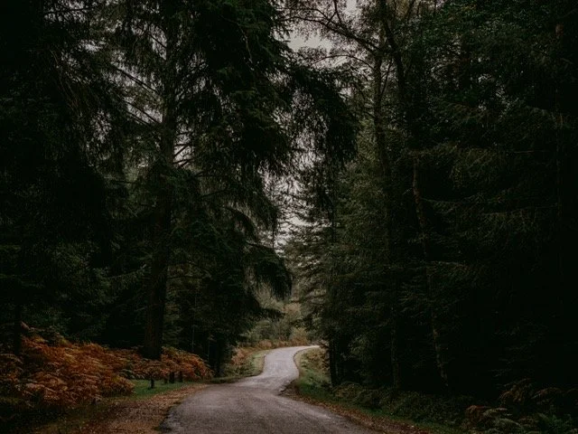 The Quiet No