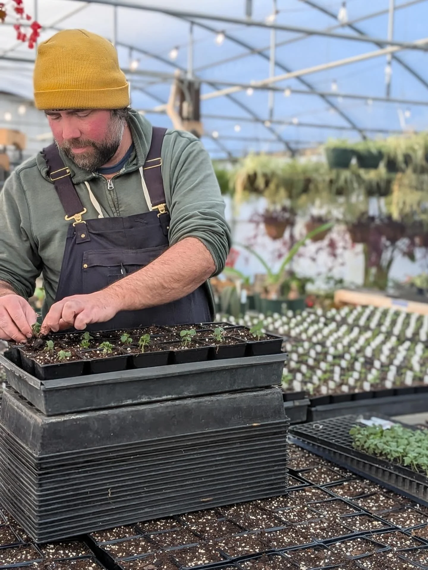The first of our baby plant plugs have arrived! 🌱

We love this time of year. Our plants are started in the winter, letting us control they&rsquo;re growing environment for strong health plants in the spring and summer.