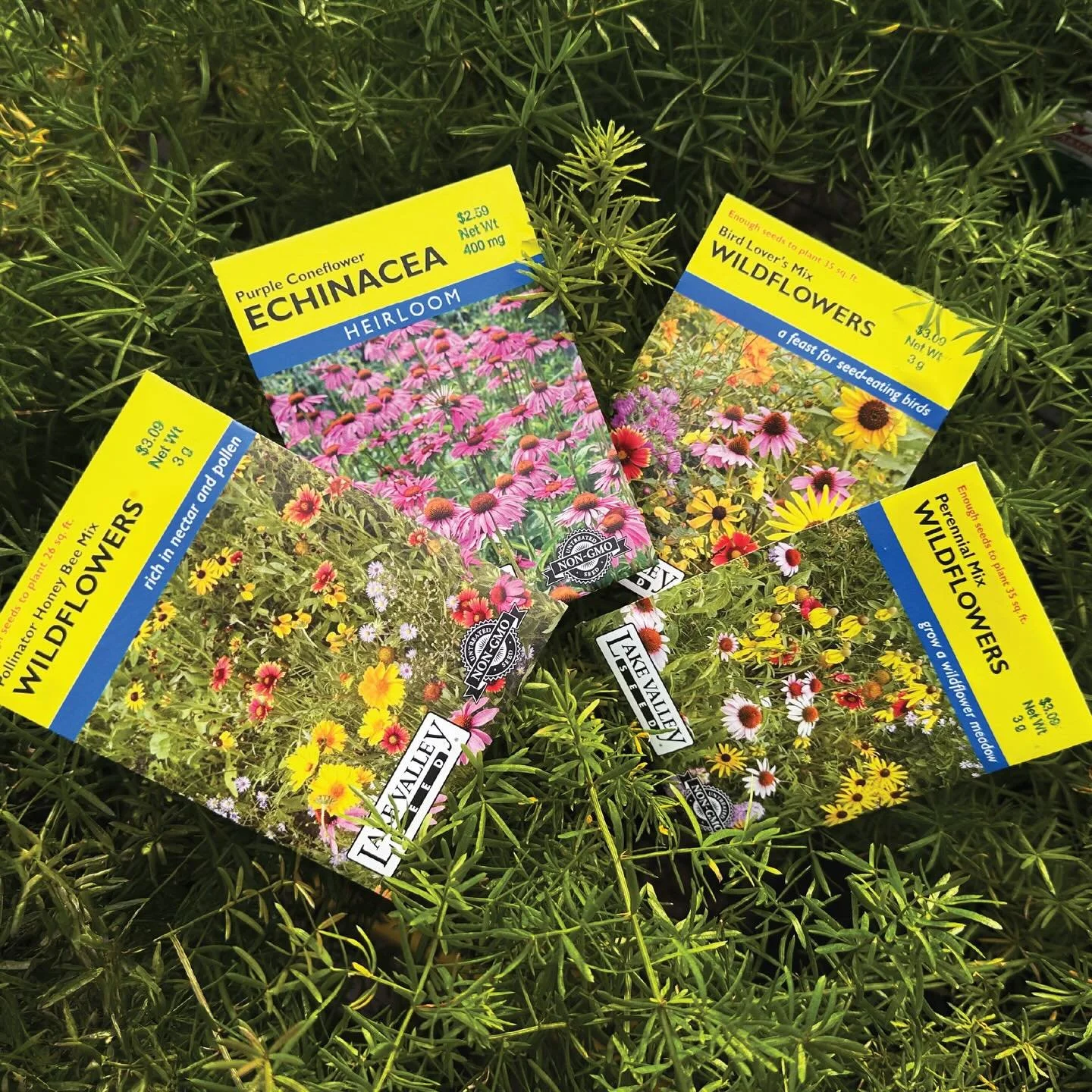 We finally have some cold days ahead, making it a great time to plant seeds that need cold stratification to germinate. This includes many of our native plant varieties. 

Not sure what to plant when? We&rsquo;re here to answer any questions you have