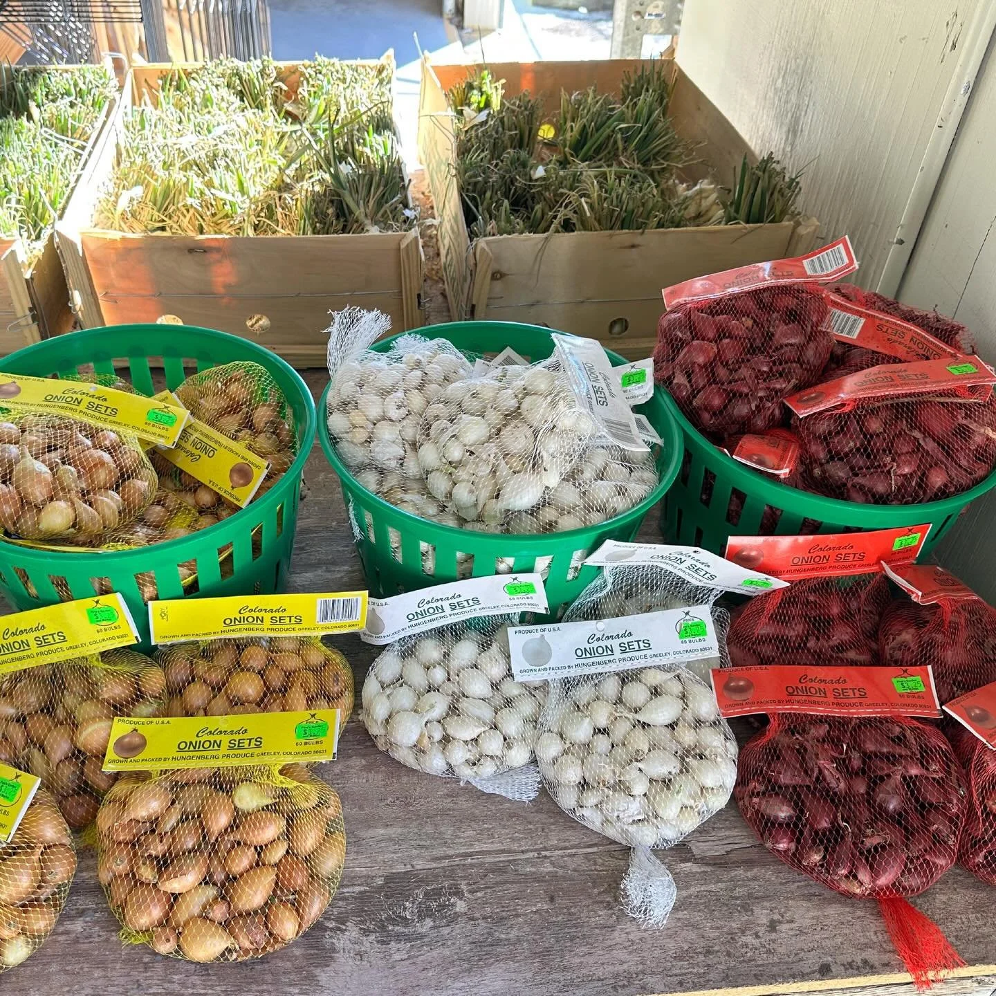 It&rsquo;s FINALLY growing season! 🧑&zwj;🌾☀️🧅🥔 We&rsquo;re stocked with many varieties of onion sets, onion starts, seed potatoes &amp; asparagus crowns. Come pick some up while enjoying this beautiful weather.