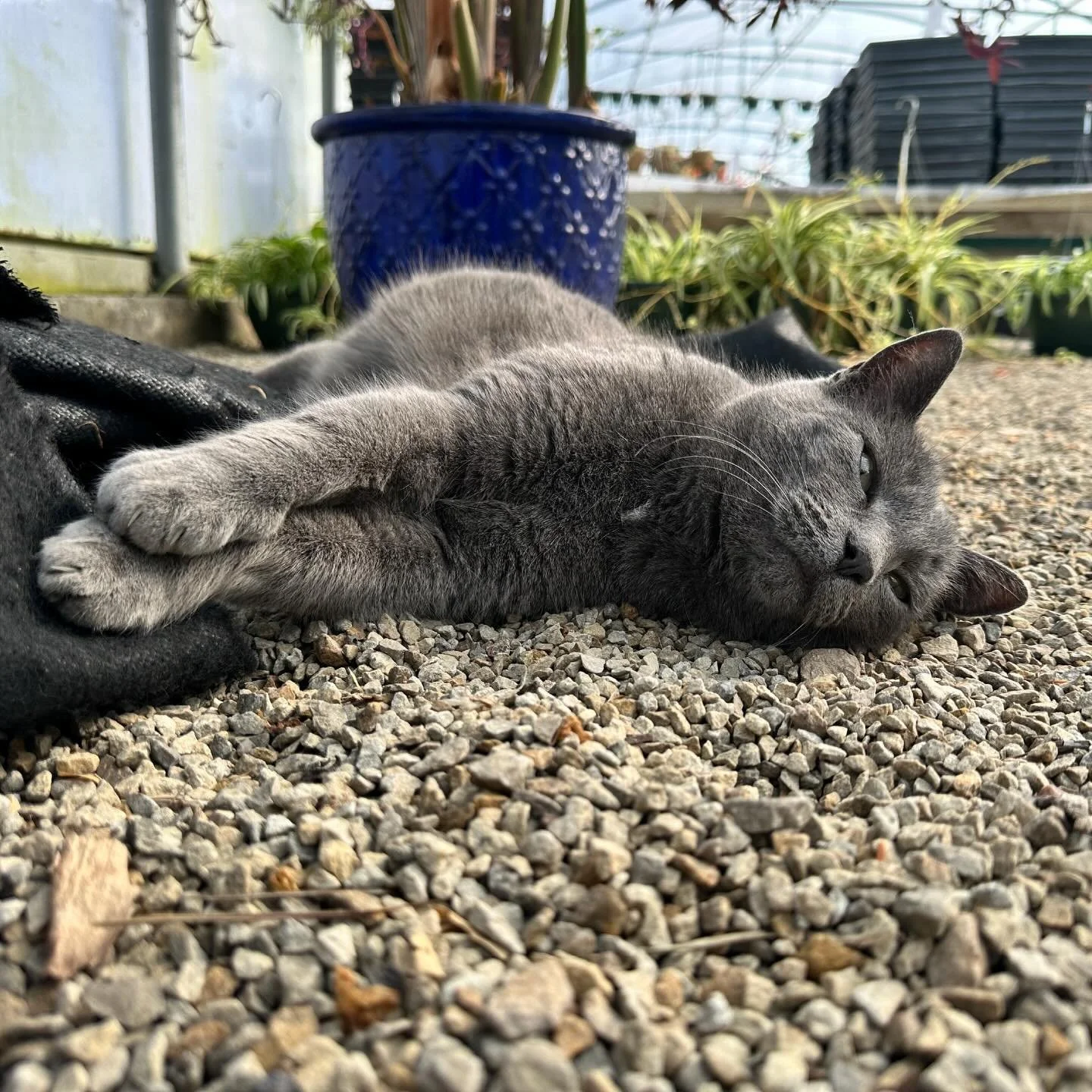 At least it&rsquo;s warm in our greenhouses 🥶