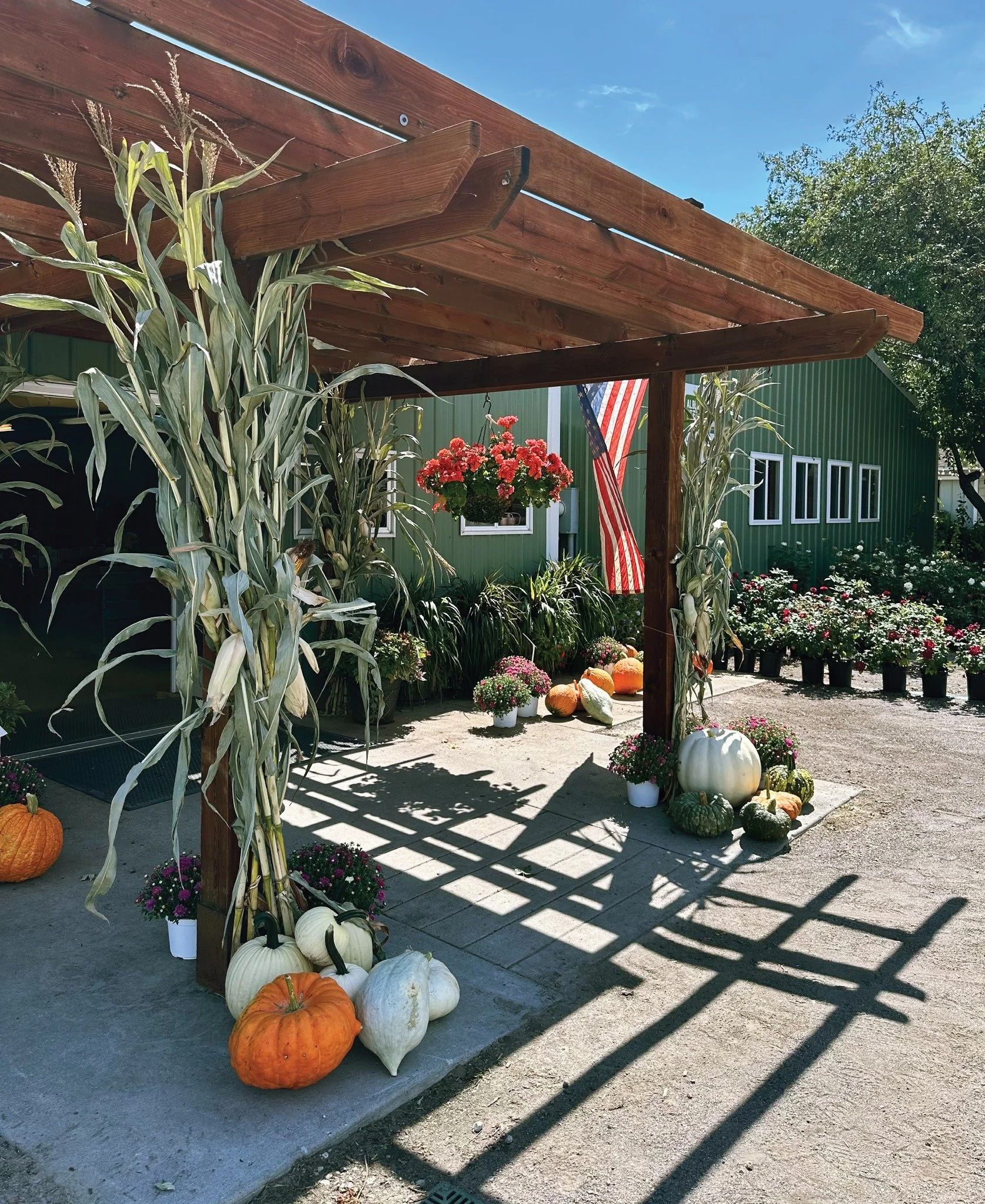 Decorated outdoor area with pumpkins and fall flowers, featuring a wooden pergola, potted plants, and a green building with windows and American flag.