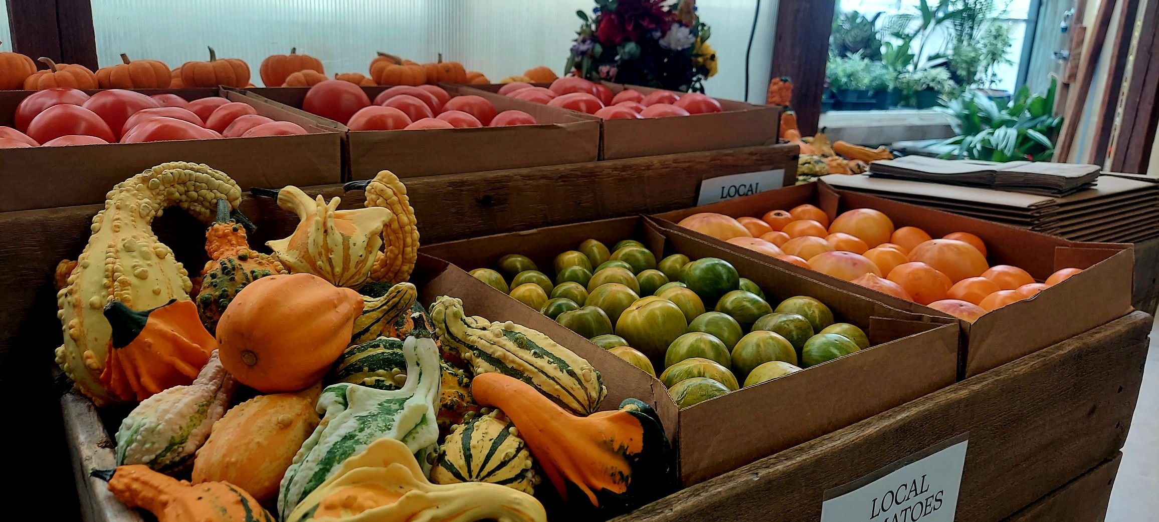 Display of fresh pumpkins, gourds, and heirloom tomatoes in wooden crates at Pine's Garden & Market with greenery outside and a sign labeled 'Local'.